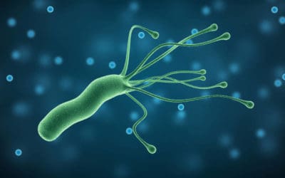 ¿Qué es Helicobacter Pylori y por qué le tienen miedo?