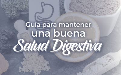 Guía para mantener una buena salud digestiva