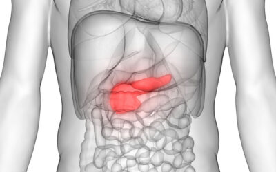 Importancia del páncreas para la salud integral