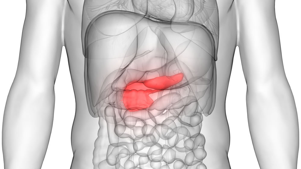Importancia del páncreas para la salud integral
